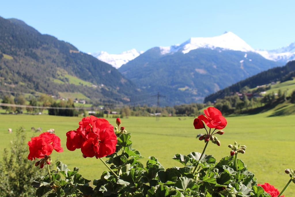 Willa Zittrauerhof - Urlaub Am Bauernhof Gastein Bad Hofgastein Zewnętrze zdjęcie