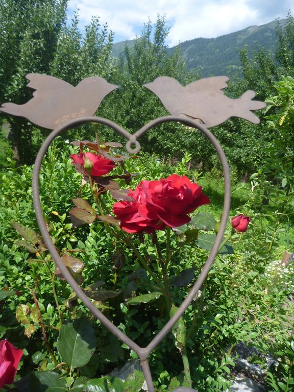 Willa Zittrauerhof - Urlaub Am Bauernhof Gastein Bad Hofgastein Zewnętrze zdjęcie