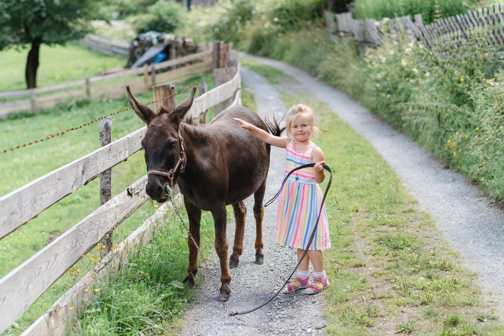 Willa Zittrauerhof - Urlaub Am Bauernhof Gastein Bad Hofgastein Zewnętrze zdjęcie